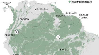 Año XI – N°25 – Jueves 05 de marzo, 2026